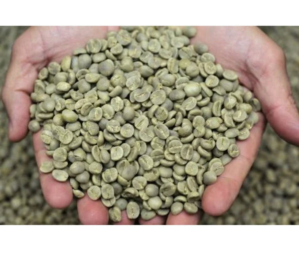 Sidama Coffee (ቡን ሲዳማ)