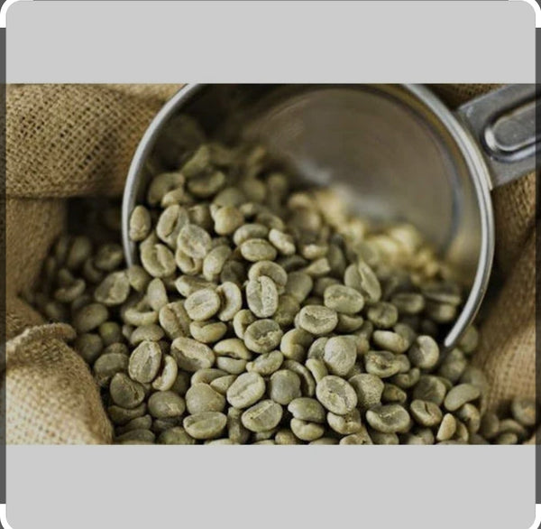 Sidama Coffee (ቡን ሲዳማ)